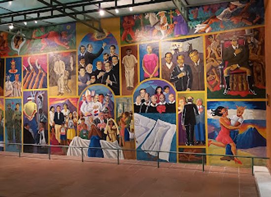 el-salvador/western-region/attraction/dr-david-j-guzman-national-museum