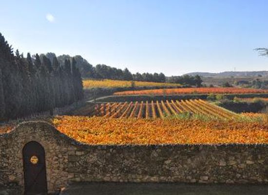 spain/barcelona/attraction/albet-i-noya-vins-ecologics-del-penedes-visita-el-celler-i-winebar