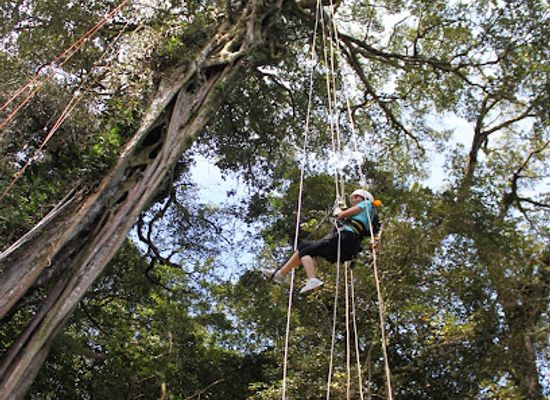 costa-rica/monteverde-cloud-forest/attraction/treetop-climbing-monteverde