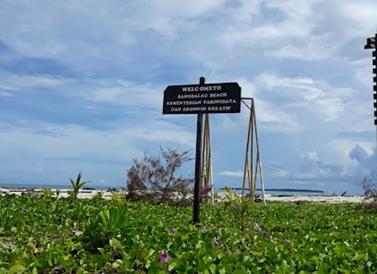 indonesia/pulau-derawan/attraction/pulau-gusung-sanggalau