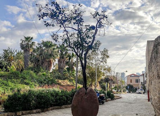 israel/tel-aviv/florentin/attraction/suspended-orange-tree