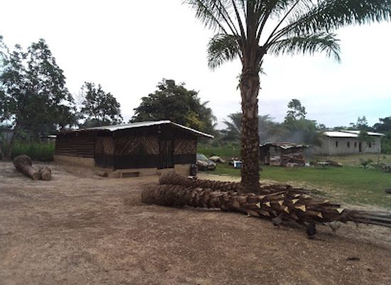 gabon/gaboon-estuary/attraction/les-huit-palmiers