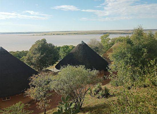 south-africa/highveld/attraction/willem-pretorius-game-reserve