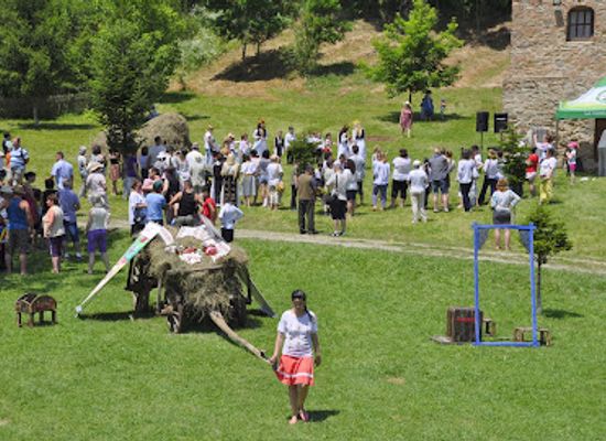 romania/ramnicu-valcea/attraction/muzeul-satului-valcean