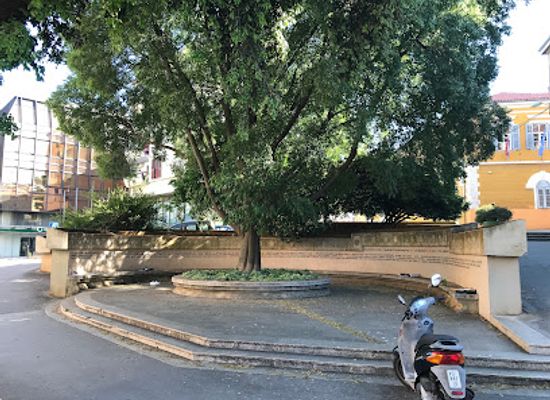 croatia/pula/attraction/narodni-trg