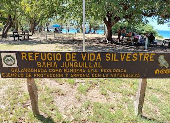 nicaragua/rivas-isthmus/attraction/refugio-de-vida-silvestre-junquillal