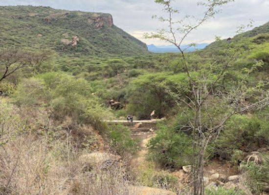 kenya/samburu-region/attraction/namunyak-wildlife-conservation-trust