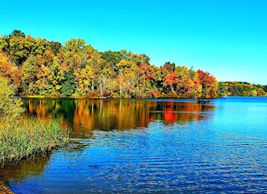 connecticut/new-britain/attraction/batterson-park