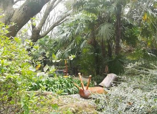 italy/monte-rosa/attraction/il-giardino-della-valle