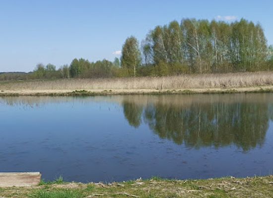 poland/zegrze-reservoir/attraction/rezerwat-przyrody-wieliszewskie-legi