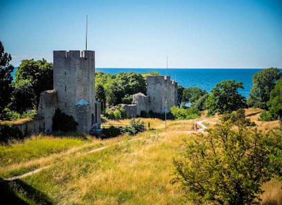 sweden/visby/attraction/gotska-hoglanderna