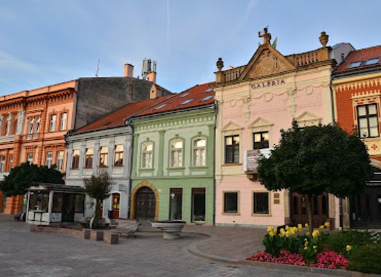 slovakia/presov-region/attraction/saris-gallery-in-presov