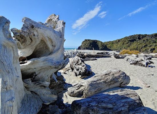 new-zealand/fox-glacier/attraction/ship-creek