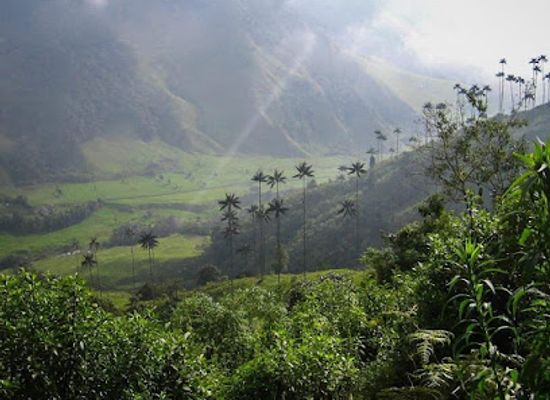 colombia/los-nevados-national-natural-park/attraction/ecoturistico-la-plata-park