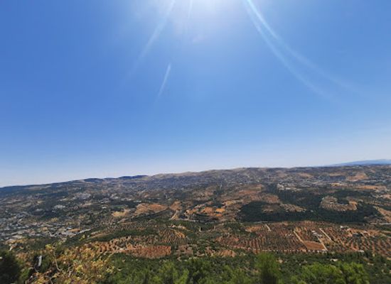 jordan/ajloun-castle/attraction/Ain-Al-Bustan