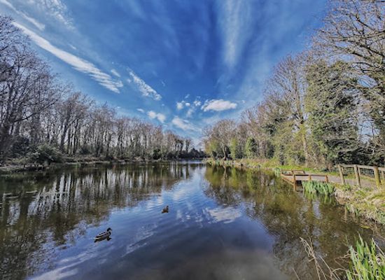 united-kingdom/flintshire/attraction/wepre-park