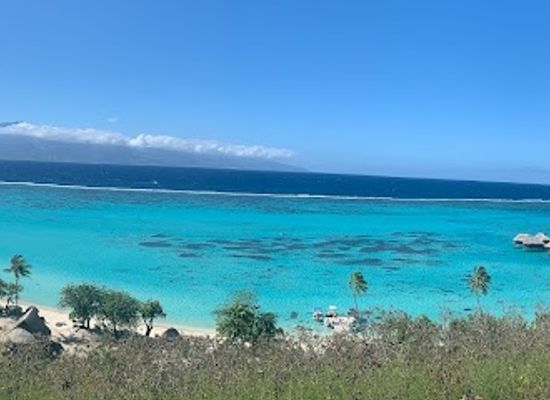 french-polynesia/windward-islands/attraction/safari-mario-moorea