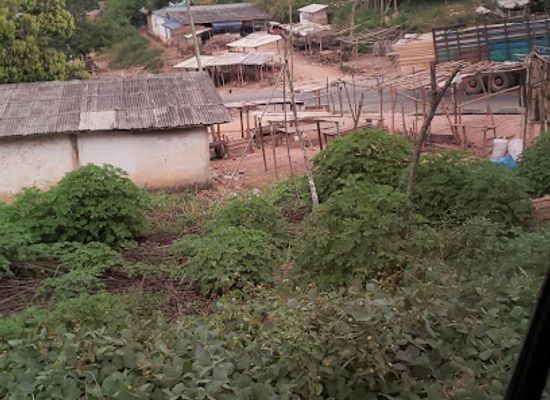 cameroon/ngog-lituba/attraction/marche-de-logbikoy
