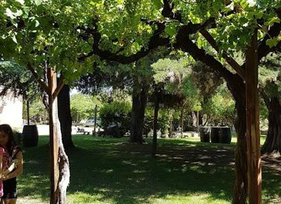 argentina/cuyo/attraction/ave-maria-purisima-bodega
