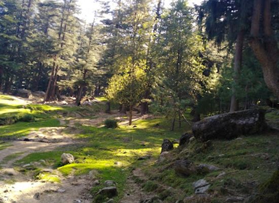 india/himachal-pradesh/attraction/sajla-manali