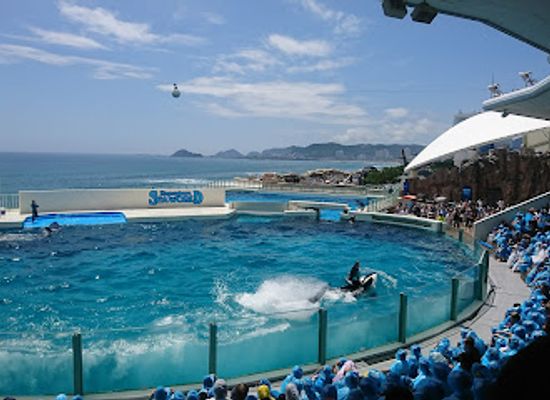 japan/mikawa/attraction/kamogawa-sea-world
