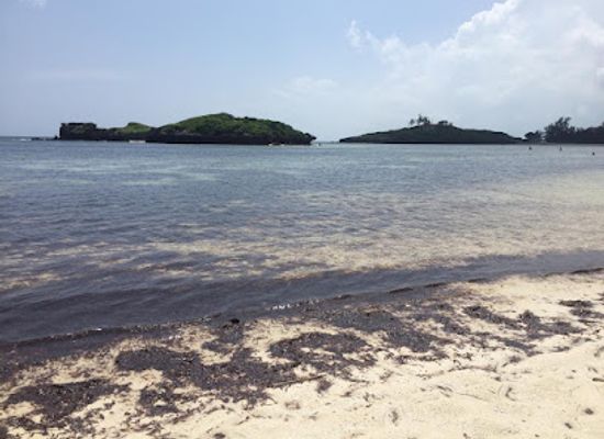 kenya/malindi/attraction/watamu-boat-excursions