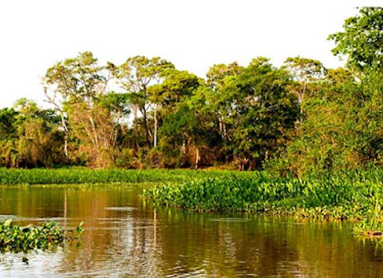 brazil/pantanal/attraction/the-pantanal-of-rio-negro-state-park