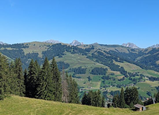 switzerland/gstaad/attraction/feuerstelle-horneggli