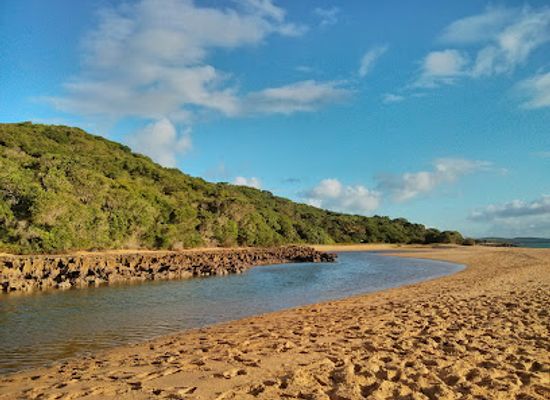 mozambique/inhaca-island/attraction/reserve-inhaca