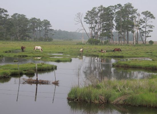 virginia/tidewater/attraction/pony-overlook