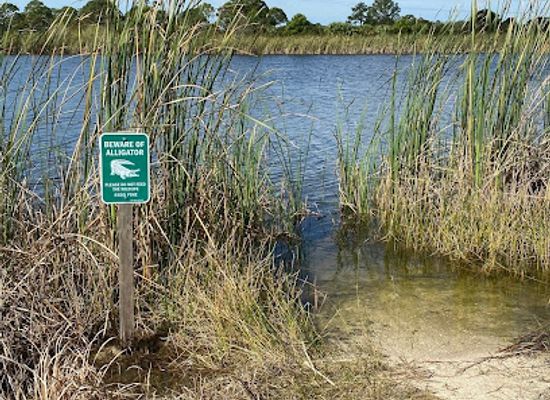 florida/sarasota-beaches/attraction/scherer-thaxton-preserve