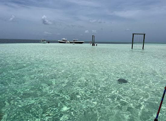 the-bahamas/andros-island/attraction/east-end-lodge