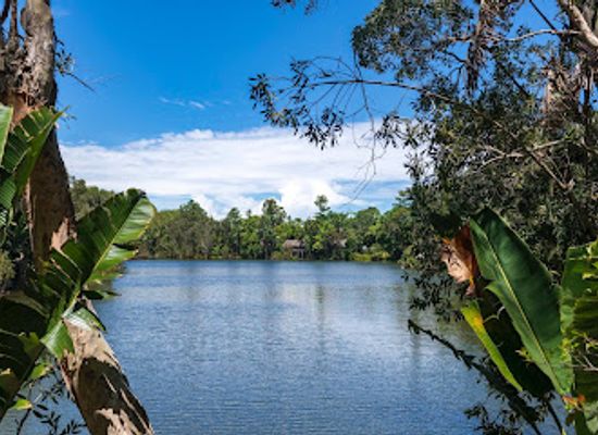 madagascar/atsinanana/attraction/parc-ivoloina