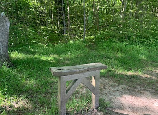 denmark/central-jutland/attraction/gratitude-bench