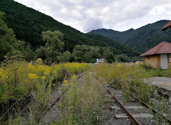 slovakia/banska-bystrica-region/attraction/stanica-ciernohronskej-zeleznicky