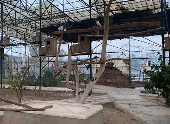 pakistan/peshawar/attraction/butterfly-house