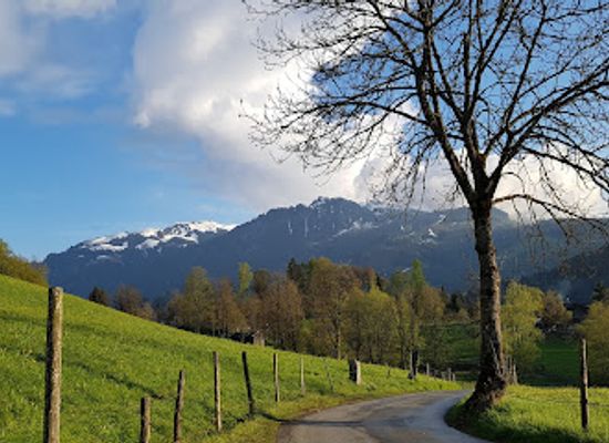 austria/kitzbuhel/attraction/bauernhofmuseum