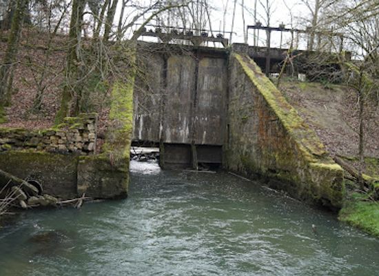 belgium/arlon/attraction/bois-de-clairefontaine