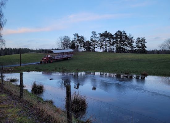 sweden/smaland/attraction/skullaryd-algpark