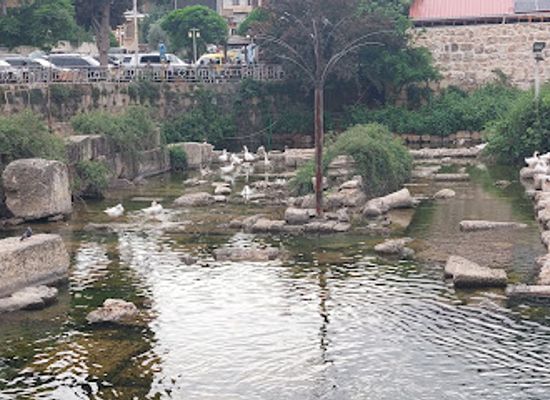 lebanon/baalbek/attraction/public-park