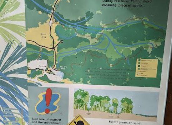 australia/daintree-rainforest/attraction/dubuji-boardwalk