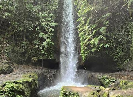indonesia/bali/attraction/manuaba-waterfall