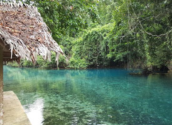 vanuatu/efate/attraction/riri-blue-hole