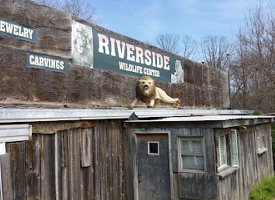 missouri/meramec-caverns/attraction/riverside-wildlife-center