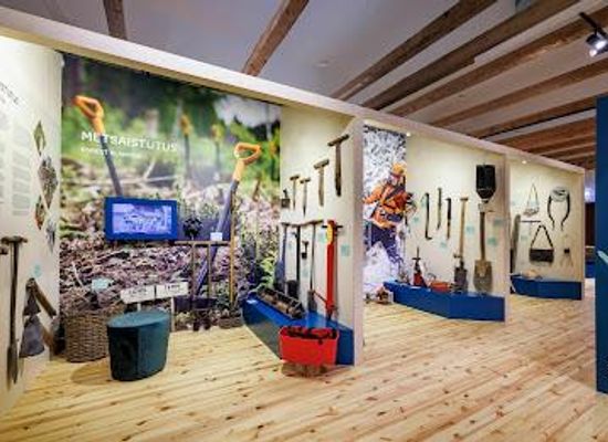 estonia/rakvere/attraction/sagadi-metsamuuseum-sagadi-forest-museum