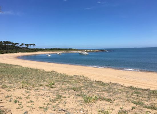 uruguay/south-coast/attraction/gorriti-island