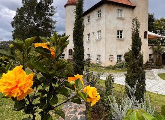 guatemala/guatemala-city/attraction/vinedo-chateau-defay-guatemala