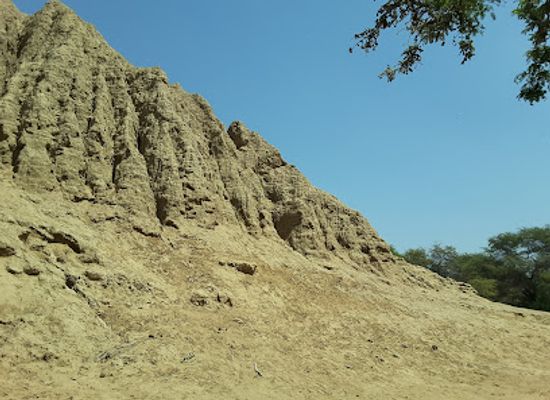 peru/lambayeque/attraction/sican-national-museum