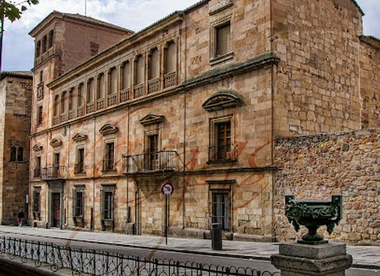 spain/salamanca/attraction/palacio-de-orellana