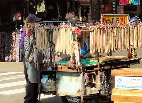 south-korea/busan/attraction/jagalchi-market